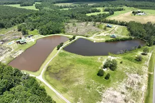 1940 Horne Rd, Eastman, GA 31023 - Photo 85