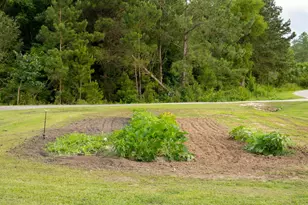 1940 Horne Rd, Eastman, GA 31023 - Photo 63