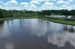 1940 Horne Rd, Eastman, GA 31023 - Photo 83