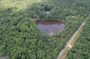 2654 New Hope Rd, Zebulon, GA 30295 - Photo 103