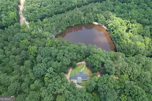 2654 New Hope Rd, Zebulon, GA 30295 - Photo 99