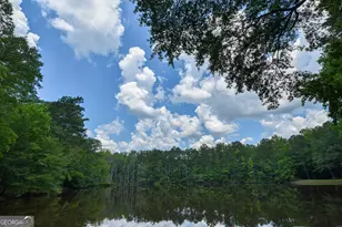 2654 New Hope Rd, Zebulon, GA 30295 - Photo 85