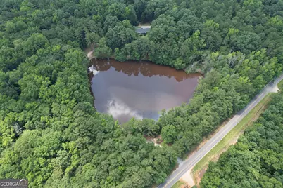 2654 New Hope Road, Zebulon, GA 30295 - Photo 93