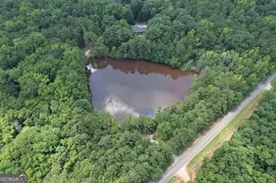 2654 New Hope Rd, Zebulon, GA 30295 - Photo 93