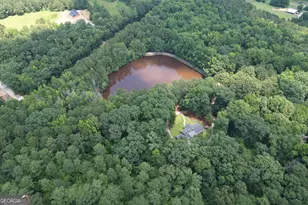 2654 New Hope Rd, Zebulon, GA 30295 - Photo 101