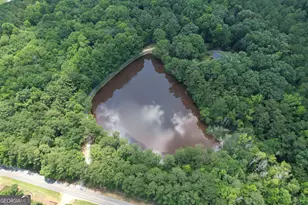 2654 New Hope Rd, Zebulon, GA 30295 - Photo 95