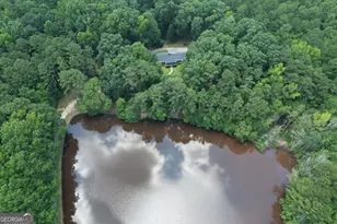 2654 New Hope Rd, Zebulon, GA 30295 - Photo 91