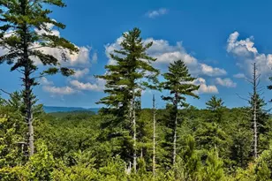 39 Mountaintown Overlook, Ellijay, GA 30540 - Photo 45