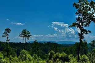 39 Mountaintown Overlook, Ellijay, GA 30540 - Photo 47