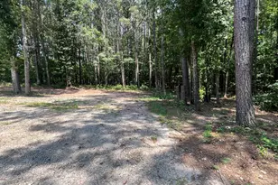 905 Natures Trail, Forsyth, GA 31029 - Photo 55