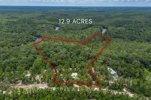 1360 Douglas Fish Camp Rd, White Oak, GA 31568 - Photo 11