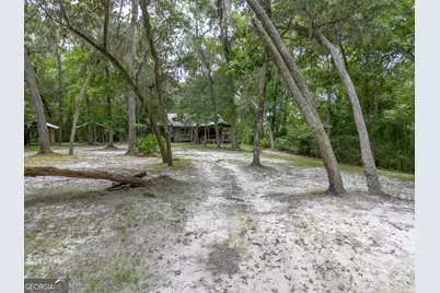 1360 Douglas Fish Camp Road, White Oak, GA 31568 - Photo 9