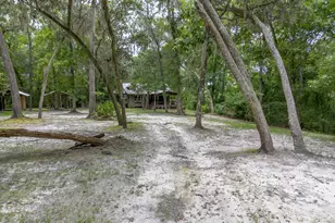 1360 Douglas Fish Camp Rd, White Oak, GA 31568 - Photo 9