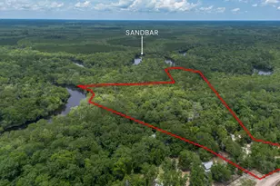 1360 Douglas Fish Camp Rd, White Oak, GA 31568 - Photo 5