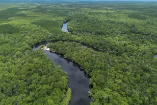 1360 Douglas Fish Camp Rd, White Oak, GA 31568 - Photo 15