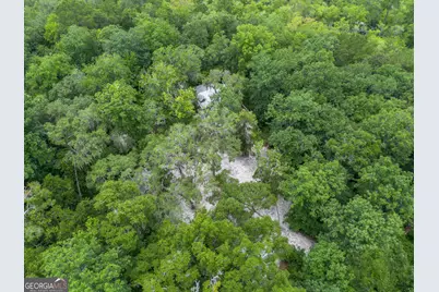 1360 Douglas Fish Camp Road, White Oak, GA 31568 - Photo 7