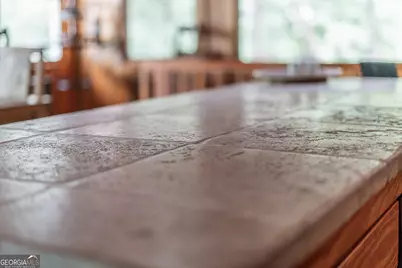 1360 Douglas Fish Camp Road, White Oak, GA 31568 - Photo 49