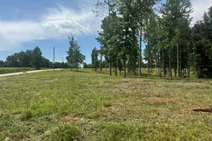 Lot 4 Happy Hollow Rd, Roopville, GA 30170 - Photo 1