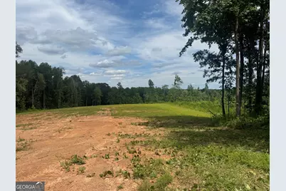 Lot 4 Happy Hollow Road, Roopville, GA 30170 - Photo 3