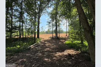 Lot 4 Happy Hollow Road, Roopville, GA 30170 - Photo 11