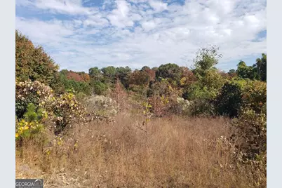 3340 Hwy 92 Fairburn Road, Douglasville, GA 30135 - Photo 3