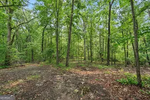 433 Elliots Ln, Dahlonega, GA 30533 - Photo 33