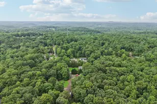 433 Elliots Ln, Dahlonega, GA 30533 - Photo 47