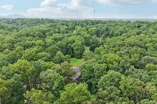 433 Elliots Ln, Dahlonega, GA 30533 - Photo 49