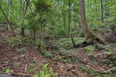 433 Elliots Lane, Dahlonega, GA 30533 - Photo 41