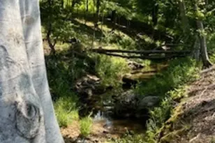 4348 Marshall Stewart Rd, Crawfordville, GA 30631 - Photo 75