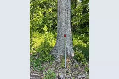 4348 Marshall Stewart Road, Crawfordville, GA 30631 - Photo 77