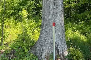 4348 Marshall Stewart Rd, Crawfordville, GA 30631 - Photo 77