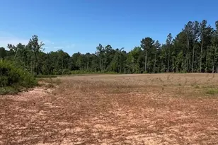 4348 Marshall Stewart Rd, Crawfordville, GA 30631 - Photo 79