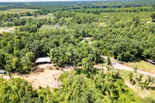 4348 Marshall Stewart Rd, Crawfordville, GA 30631 - Photo 47