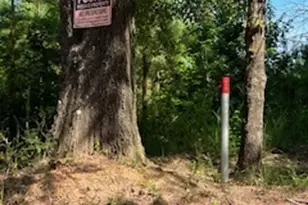 4348 Marshall Stewart Rd, Crawfordville, GA 30631 - Photo 71