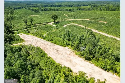 4348 Marshall Stewart Road, Crawfordville, GA 30631 - Photo 45