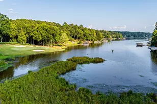 1132 Harbor Ridge Dr, Greensboro, GA 30642 - Photo 73