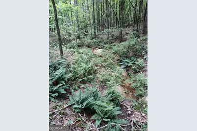 2211 Indian Hill Road, Elberton, GA 30635 - Photo 15