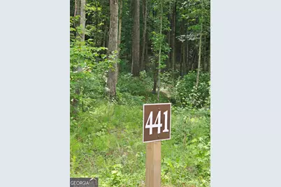 0 Twisted Oak Road, Talking Rock, GA 30175 - Photo 1