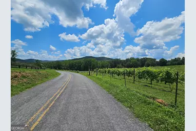 0 Twisted Oak Road, Talking Rock, GA 30175 - Photo 23