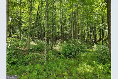 0 Twisted Oak Road, Talking Rock, GA 30175 - Photo 3