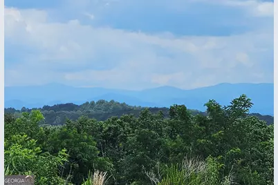 0 Twisted Oak Road, Talking Rock, GA 30175 - Photo 21