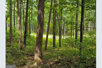 0 Twisted Oak Road, Talking Rock, GA 30175 - Photo 11