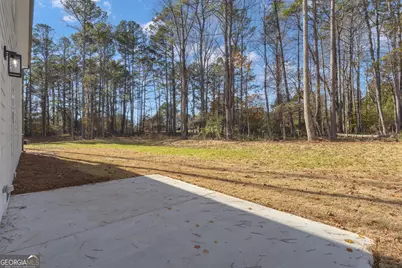 115 Seymour Place, Fayetteville, GA 30214 - Photo 67