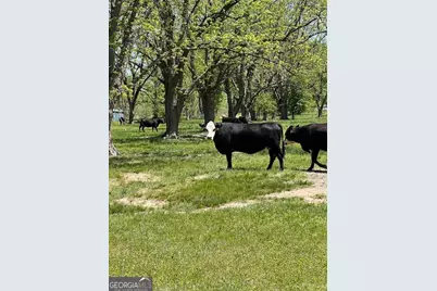 704 Old Milner Road, Barnesville, GA 30204 - Photo 7