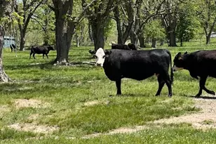 704 Old Milner Rd, Barnesville, GA 30204 - Photo 7