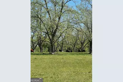 704 Old Milner Road, Barnesville, GA 30204 - Photo 5