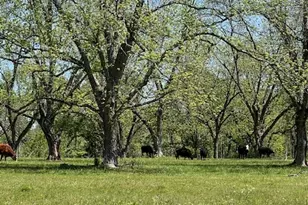 704 Old Milner Rd, Barnesville, GA 30204 - Photo 5