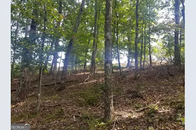 0 Whippoorwill Terrace, Alto, GA 30510 - Photo 3