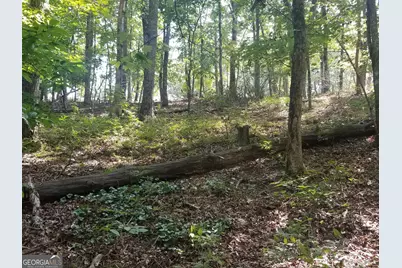 0 Whippoorwill Terrace, Alto, GA 30510 - Photo 21